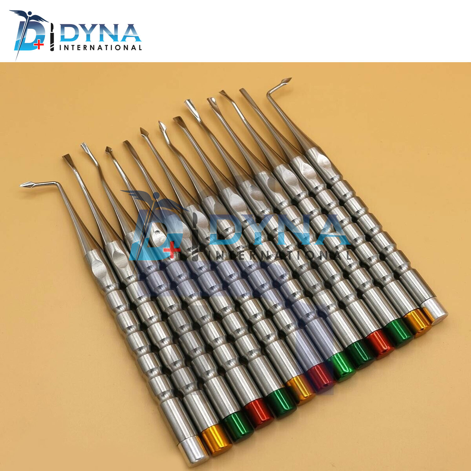13-Pcs-Luxating-Dental-Root-Tip-Extracting-Elevators-Instruments-Surgery-Inst.jpg