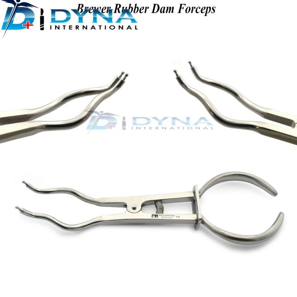 Dental Brewer Clamp Holding Forceps Dentistry Endodontics Rubber Dam