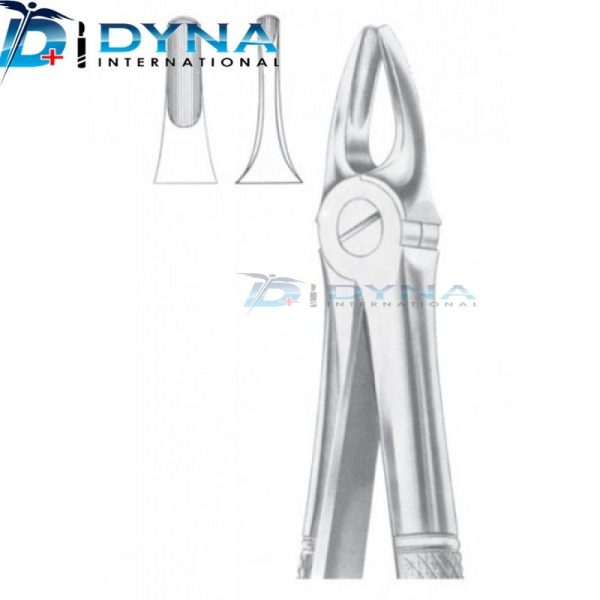 Dental Tooth Extraction Upper & Lower Molars Forceps Dentistry Lab